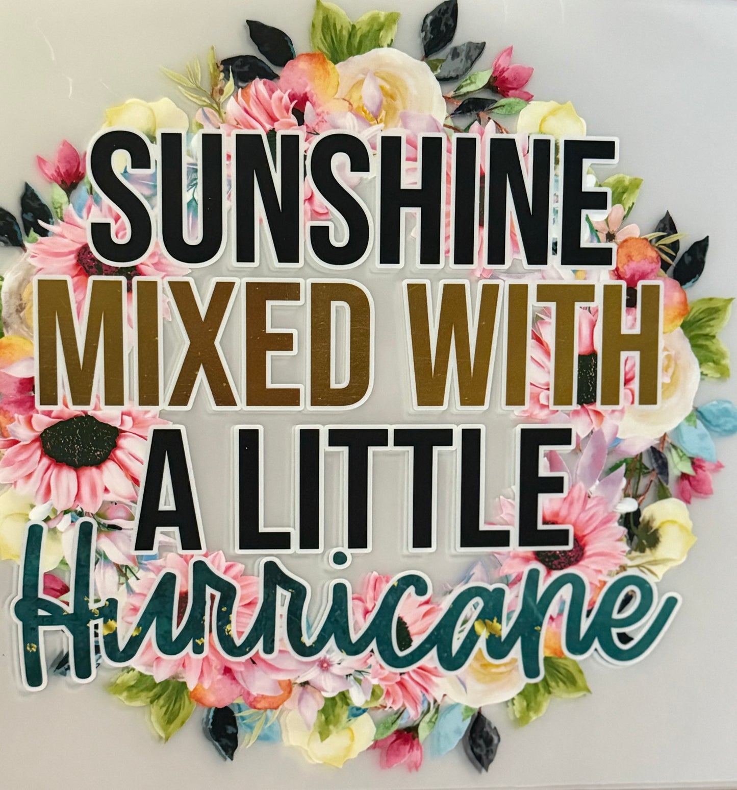 Sunshine Mixed with A Little Hurricane Multi-Color Screen Print