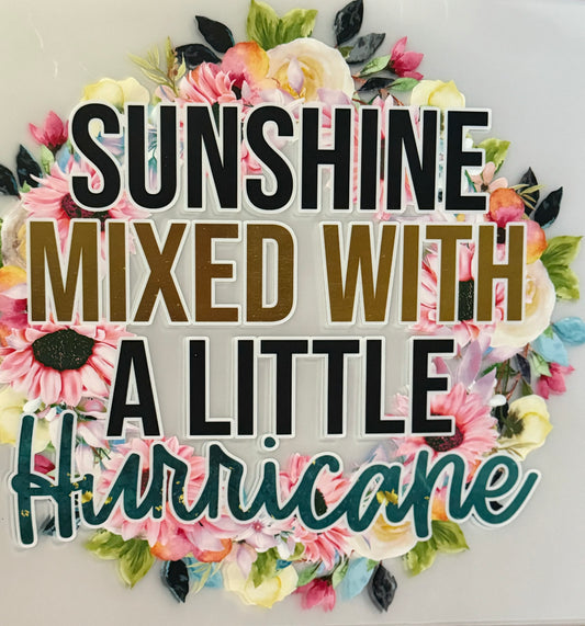 Sunshine Mixed with A Little Hurricane Multi-Color Screen Print