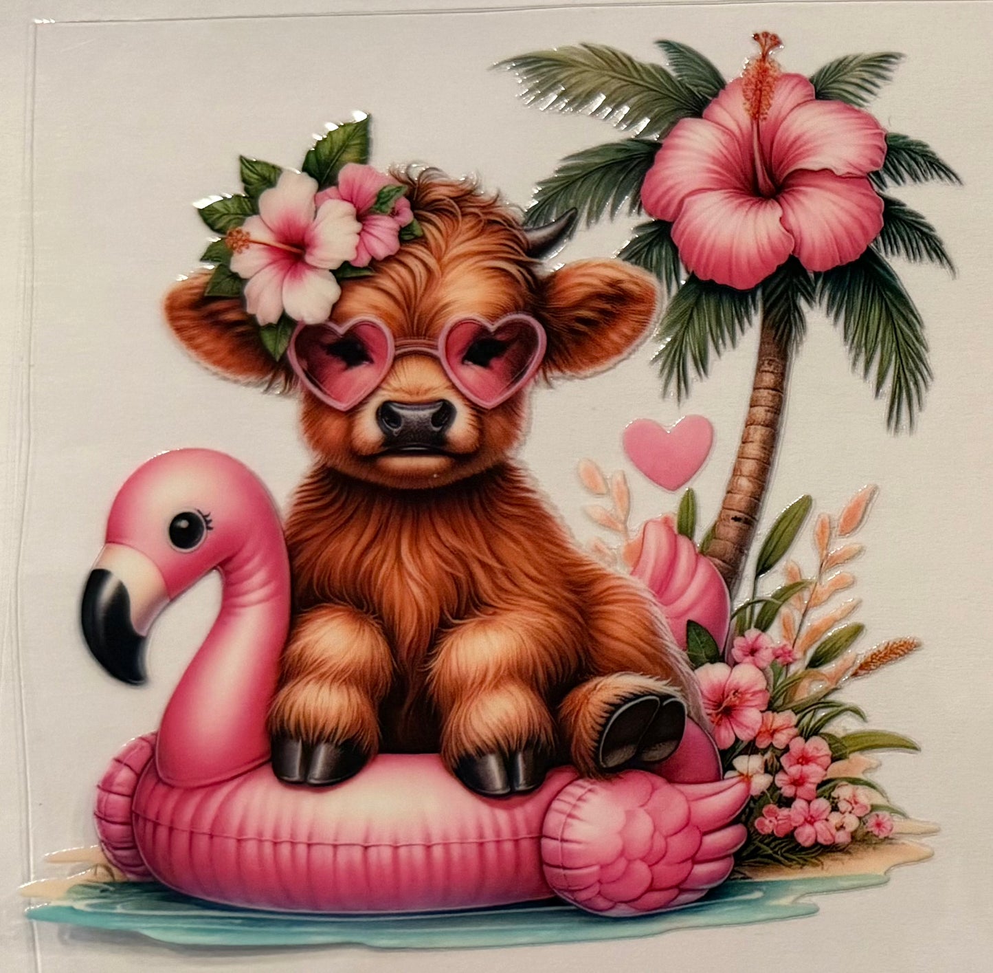 1031   Baby Highland Cow in Flamingo Floaty