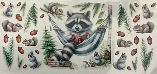 382 RACOON READING A BOOK