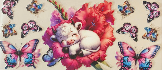 389 BABY GOAT SLEEPING IN HIBICUS FLOWER