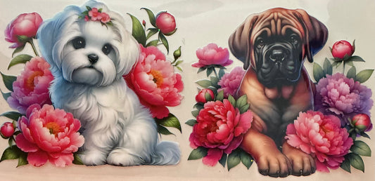401   WHITE SHIZHU & BROWN HOUND DOG IN FLOWERS
