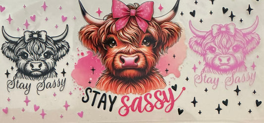 432   BABY STAY SASSY HEIFER