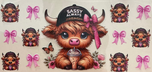 434  BABY SASSY ALWAYS HEIFER