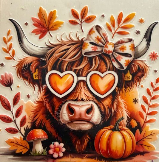 446   Highland Cow w/ Orange Sunglasses