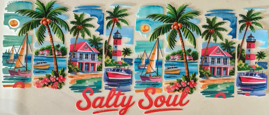 473   Salty Soul