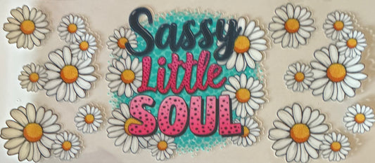 474    Sassy Little Soul