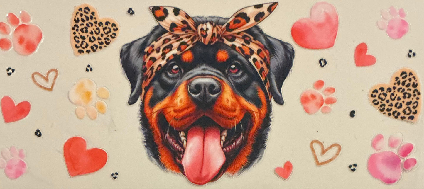 854 ROTTWEILER W/LEOPARD BOW