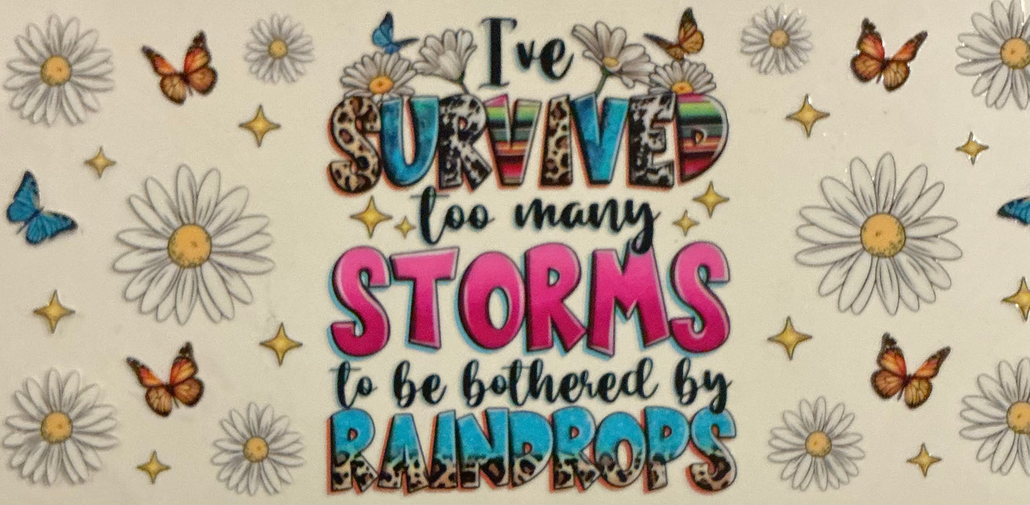 860   I've Survived Too Many Storms