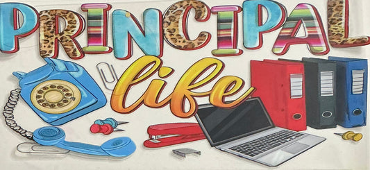 175 Principal Life Wrap