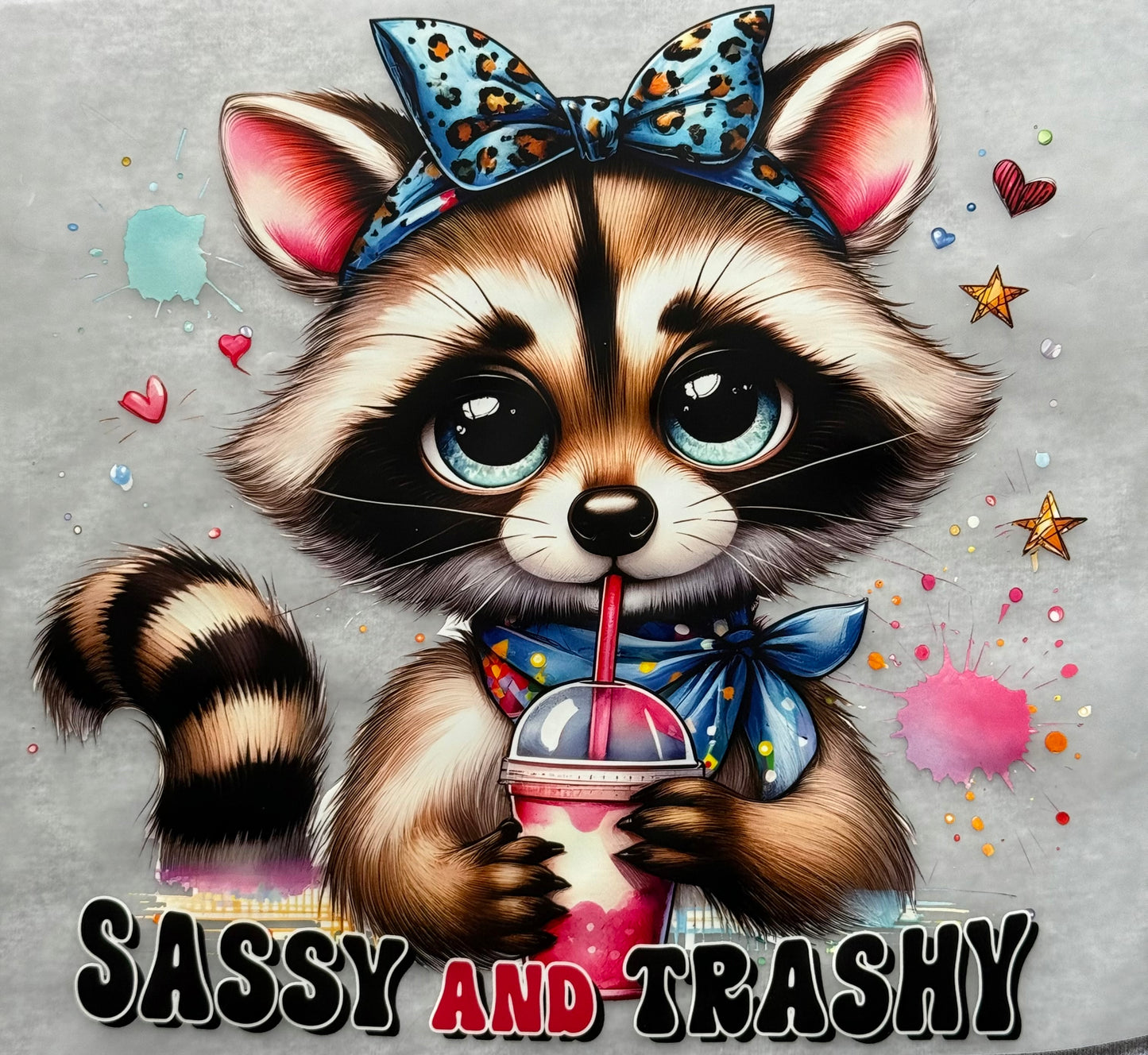 SASSY and TRASHY Multi-Color Screen Print Transfer